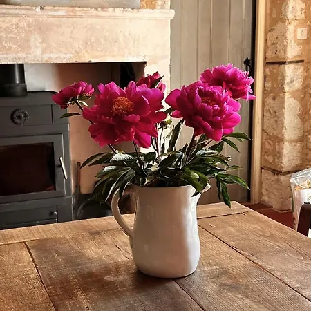 A L'ombre Du Tilleul