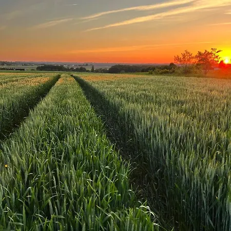 A L'ombre Du Tilleul Frühstückspension