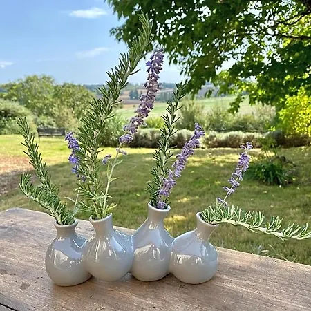 Bed & Breakfast A L'ombre Du Tilleul Berneuil (Charente)