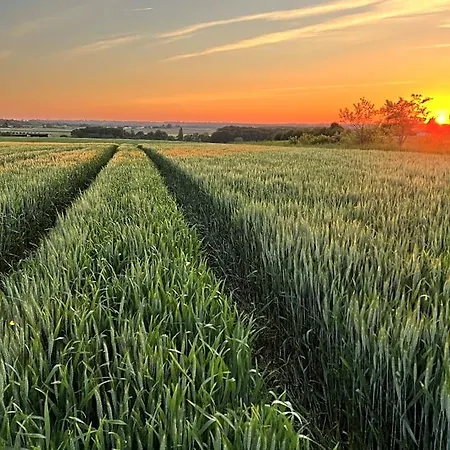 A L'ombre Du Tilleul