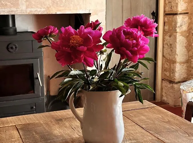 A L'ombre Du Tilleul