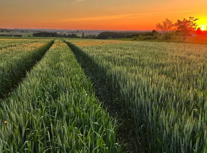 A L'ombre Du Tilleul Bed & Breakfast
